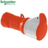 Ổ nối di động Schneider PKF16M435