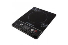 Bếp từ Kangaroo KG420