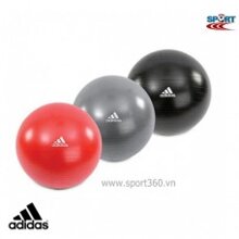 Bóng thể lực 65cm