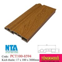 Phào chân tường NTA PCT100-8594