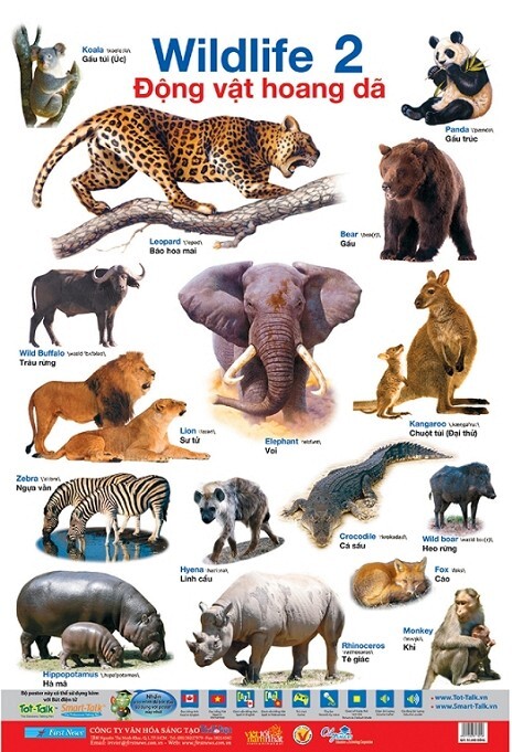 Poster lớn động vật hoang dã 2