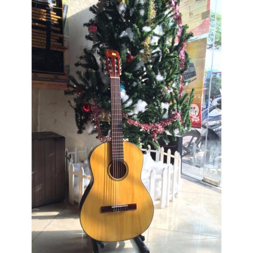 Đàn guitar classic SCG02N 