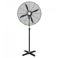 Quạt đứng Ifan NS-65