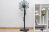 Quạt đứng Sanyo EF-M16KFS