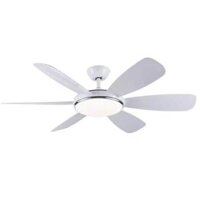 Quạt trần 6 cánh Daikisu DC65B13