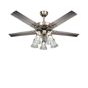 Quạt trần đèn Andora AN-QT5020