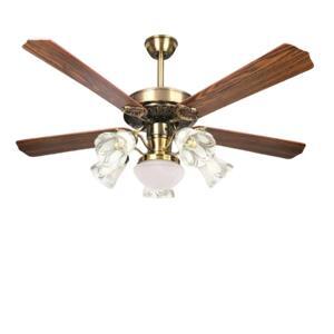 Quạt trần đèn Andora QT-1005/5+1