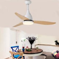 Quạt trần đèn 3 cánh NDT-312