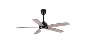 Quạt trần đèn Fanlight FL HD-503