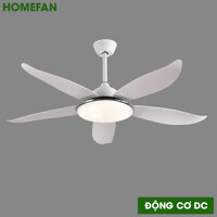 Quạt trần đèn HomeFan 5 cánh HL-Fan806