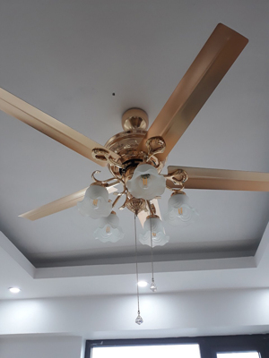Quạt trần đèn QT-1535SJT
