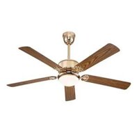 Quạt trần đèn trang trí Daikisu DC70A20GV/G