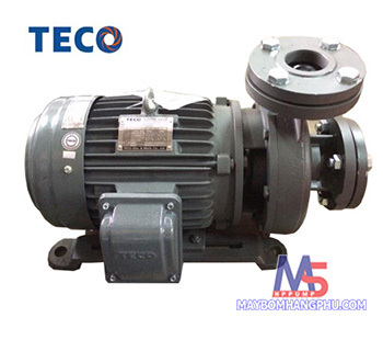 Máy bơm ly tâm đầu gang 4 pole TECO G33-65-4P 3HP 