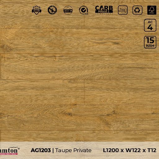 Sàn gỗ công nghiệp cao cấp 12ly Lamton AG1203
