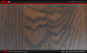 Sàn gỗ công nghiệp EuroHome D618