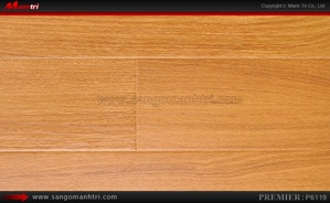 Sàn gỗ công nghiệp Premier P6119