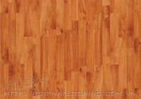 Sàn gỗ công nghiệp Robina C21