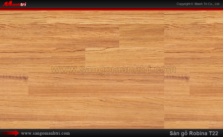 Sàn gỗ công nghiệp Robina T22