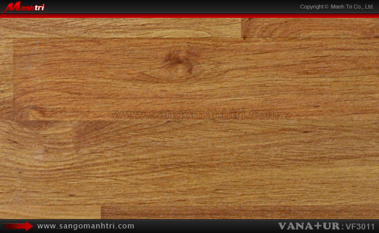 sàn gỗ công nghiệp VanaTur VF3011