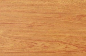 Sàn gỗ  Sutra LH272