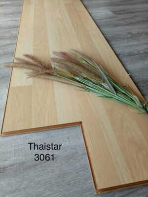 Sàn gỗ ThaiStar 8mm 3061