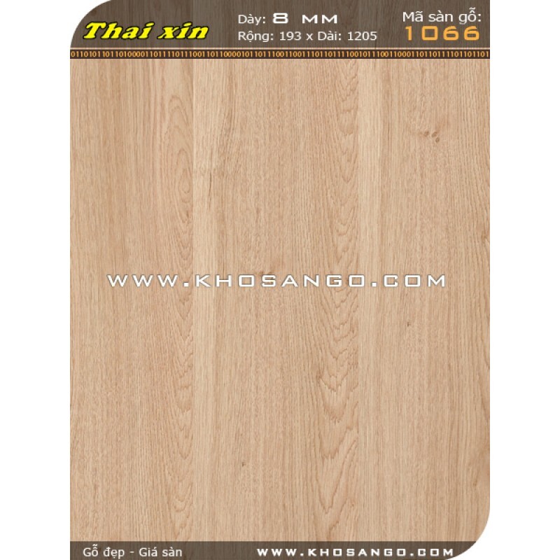 Sàn gỗ Thaixin 1066