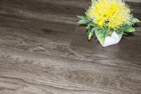 Sàn nhựa dán keo vân gỗ IBT Floor IB 1719