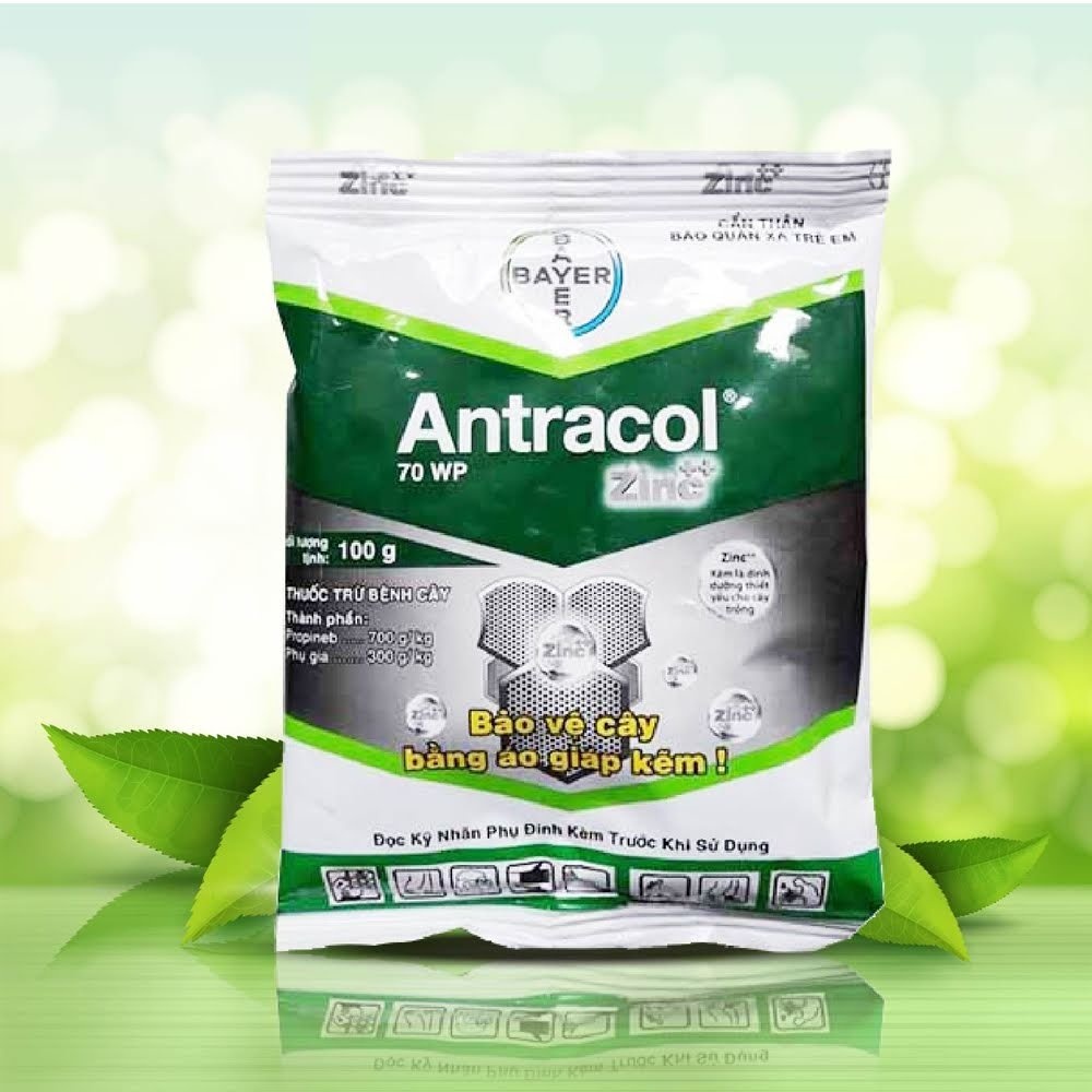 Sản phẩm trừ nấm bệnh - Antracol 70Wp 100G