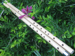 Sáo Trúc Mão Mèo HD1