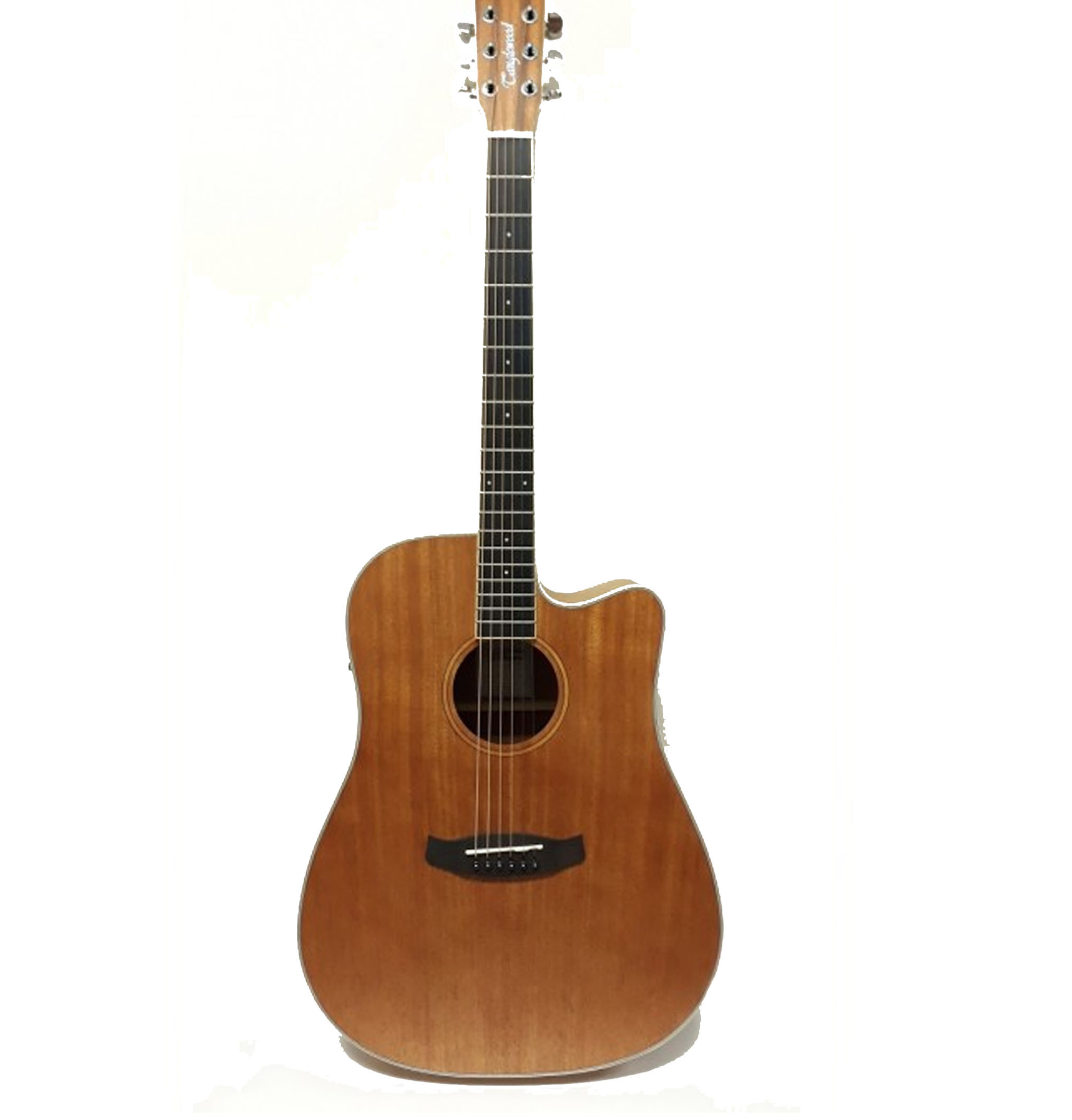 Đàn guitar Tanglewood TWU DCE 