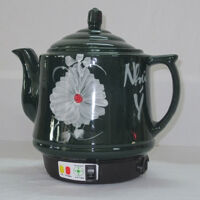 Siêu Sắc Thuốc Như Ý_Hoa đồng tiền xanh lục