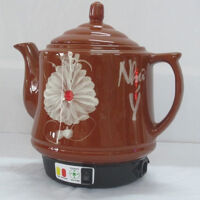 Siêu Sắc Thuốc Như Ý_Hoa đồng tiền vàng lươn