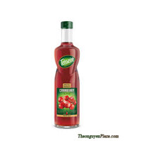 Siro Teisseire Syrup Cranberry (Nam Việt Quất) 700ml