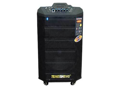 Loa kéo di động Temeisheng QX-1215 