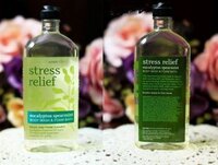Sữa tắm giảm stress Bath Body Works Stress Relief - 295ml
