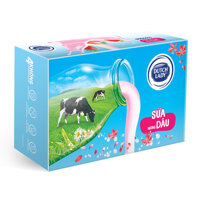 Sữa tươi tiệt trùng Dutch Lady Cô Gái Hà Lan hương dâu 180ml - thùng 48 hộp