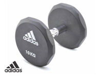 Tạ tay cao su 10kg ADWT-10322