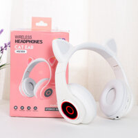 Tai nghe - Headphone HXZ-B39