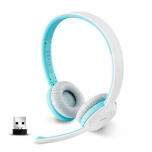 Tai nghe Rapoo H8030