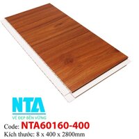 Tấm Ốp tường NTA60160