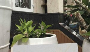 Tấm ốp tường vân gỗ TGW-8615