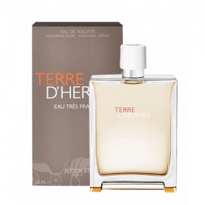 Nước hoa nam Terre D'Hermes (EDT - 125ml)