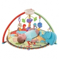 Thảm chơi cho bé Fisher-Price Open Top Musical Discovery Gym