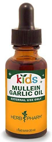 Thảo dược trị viêm tai giữa Mullein Garlic