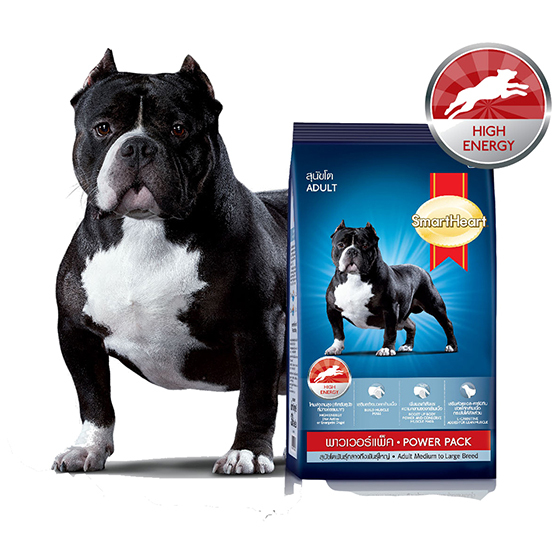 Thức ăn cho chó lớn Smartheart Power Pack - 10 kg