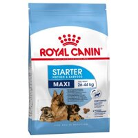 Thức ăn chó Royal Canin Maxi Starter Momther & baby - 1kg