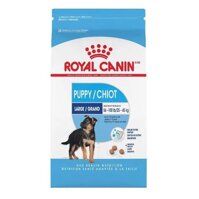 Thức ăn chó Royal Canin Maxi Puppy - 10kg
