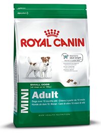 Thức ăn khô cho chó Royal Canin Mini Adult - 8 kg
