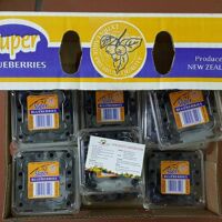 Thùng Việt Quất New Zealand 12 hộp