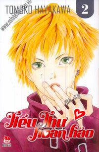 Tiểu thư hoàn hảo - Tập 2